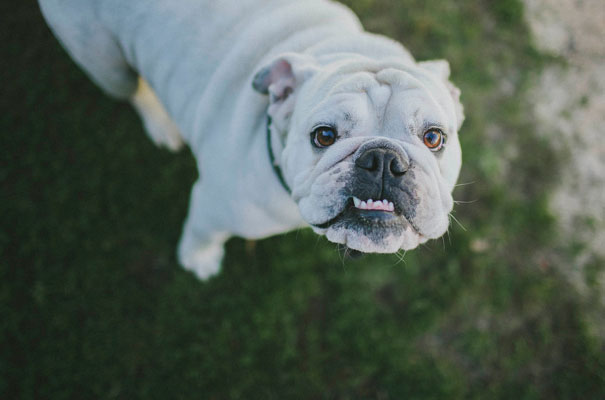 Engagement-shoot-south-coast-james-frost=photographer-bridal-blog5