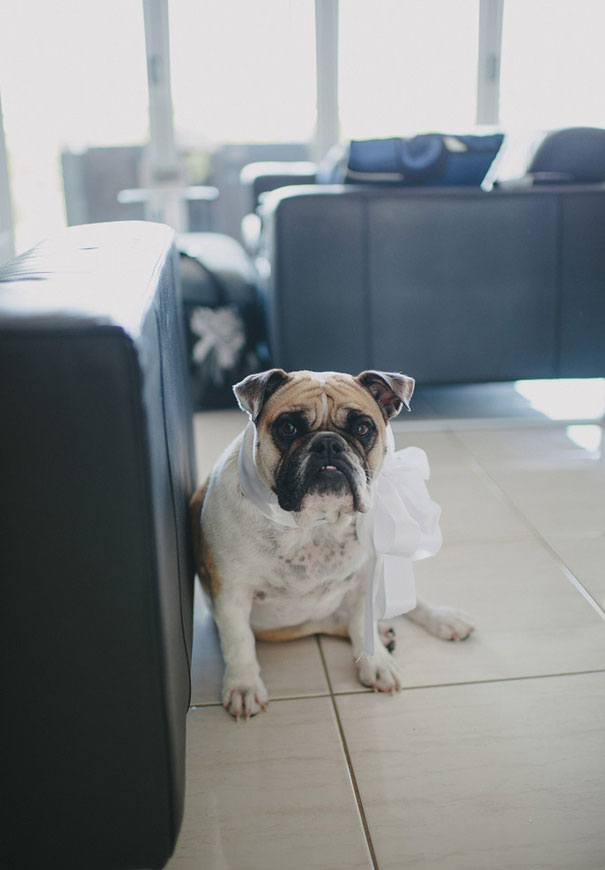 Mid-north-coast-coffs-wedding-photographer-best-sapphire-bride-sequin-dress-bride-gown