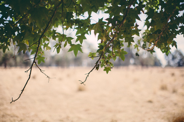 DIY-country-rustic-backyard-weding-inspiration-short-lace-dress-blue-green-yellow9