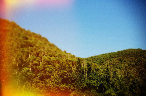 tim-coulson=photographer-bush-wedding-sydney-amazing-creek-river-country