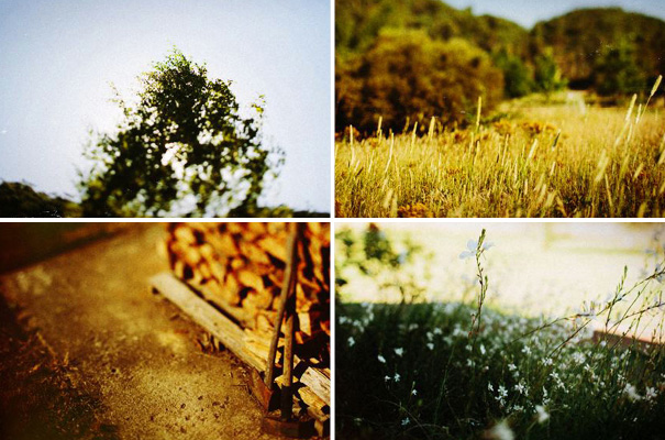 tim-coulson=photographer-bush-wedding-sydney-amazing-creek-river-country2