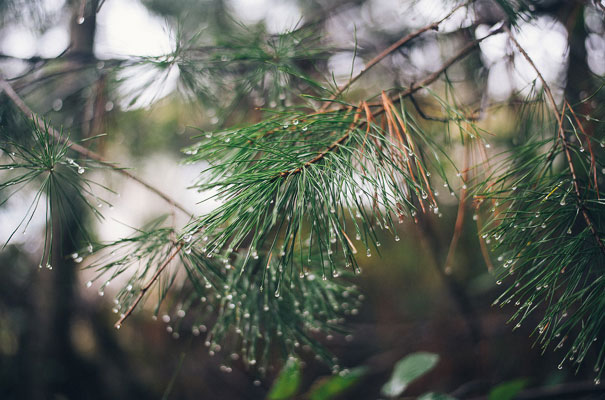 ACT-lauren-Campbell-Win-a-wedding-photographer-australia-Hello-May-comp6