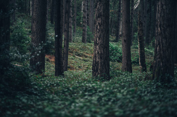 ACT-lauren-Campbell-Win-a-wedding-photographer-australia-Hello-May-comp628