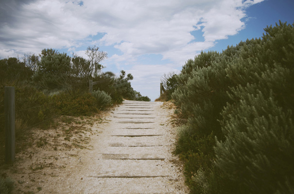 barwon-heads-wedding-photographer-great-ocean-road-bride-reception-inspiration-bush-coast11