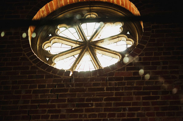 backyard-wedding-DIY-melbourne-wedding-photographer-blue-wedding-dress36