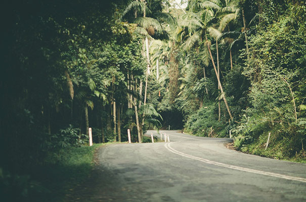 black-wedding-dress-sequins-backyard-outdoor-elegant-garden-inspiration