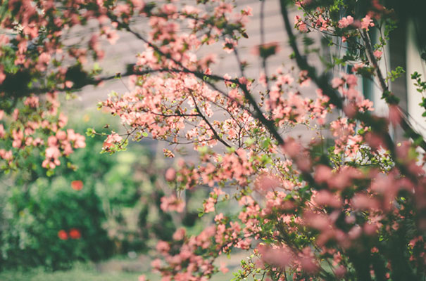 black-wedding-dress-sequins-backyard-outdoor-elegant-garden-inspiration14