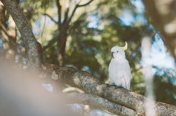 black-wedding-dress-sequins-backyard-outdoor-elegant-garden-inspiration33
