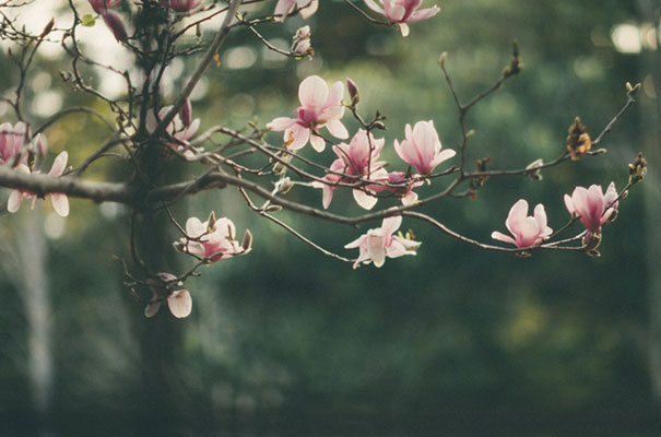 black-wedding-dress-sequins-backyard-outdoor-elegant-garden-inspiration5