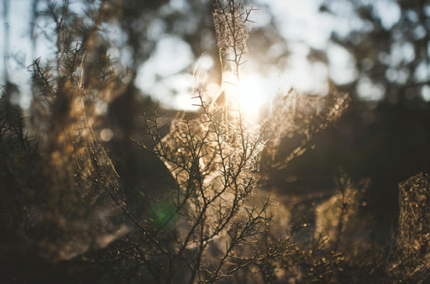 loz-shock-tee-pee-country-wedding-DIY-rock-n-roll-bride53