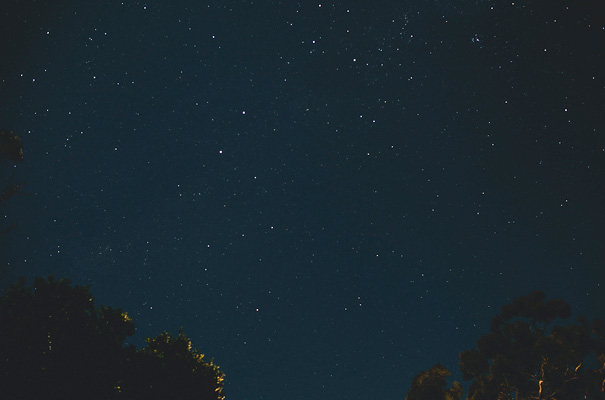 diy-elegant-country-glam-handmade-wedding-justin-aaron-wedding-photographer-best-NSW40