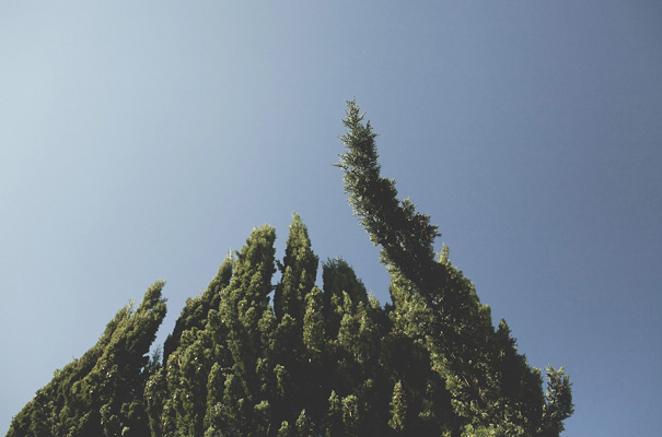 diy-elegant-country-glam-handmade-wedding-justin-aaron-wedding-photographer-best-NSW7