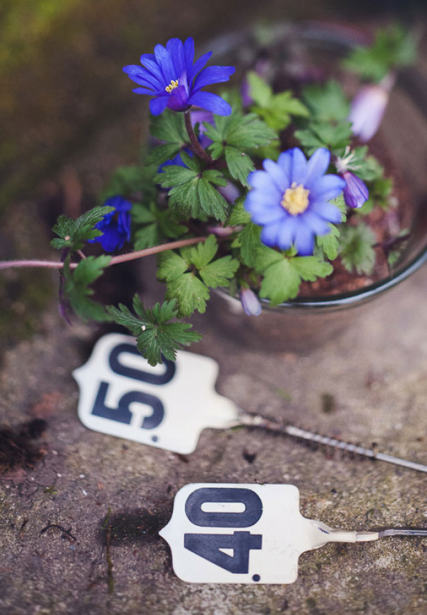 NZ-boho-bride-succulents-wedding-greenery-cakes-styling-inspiration-marion32