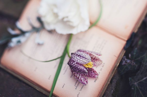 boho-bride-succulents-wedding-greenery-cakes-styling-inspiration-marion14