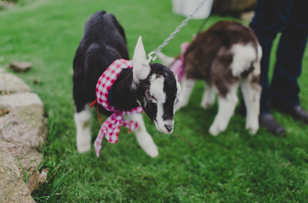 eric-ronald-retro-wedding-carnival-circus-theme-rock-n-roll-bride13