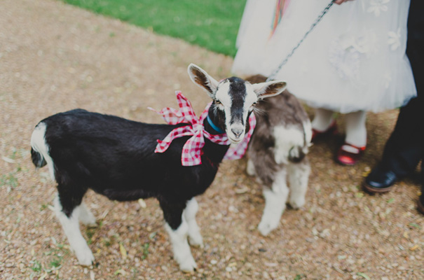 eric-ronald-retro-wedding-carnival-circus-theme-rock-n-roll-bride26