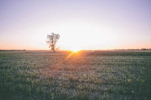 outback-australian-wedding-bush-country-glam-tent-styling21