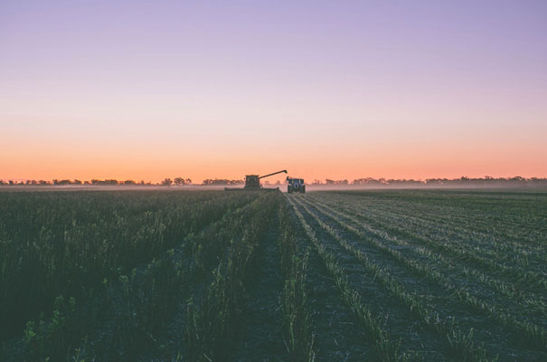 outback-australian-wedding-bush-country-glam-tent-styling22