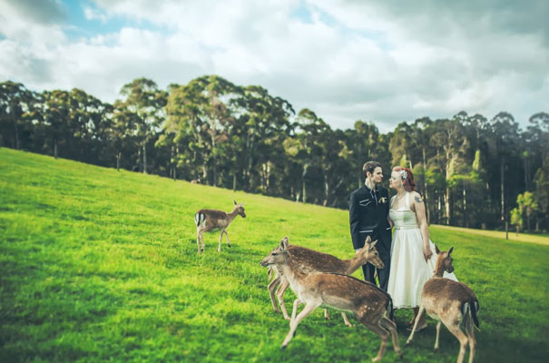 jessica-tremp-retro-wedding-quirky-styling-inspiration33