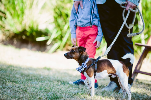 the-wanderers-daisies-boho-bride-country-hippie-wedding-farm-inspiration18