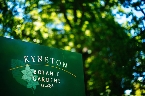 Victoria-wedding-vintage-wedding-dress-photographer-country-DIY