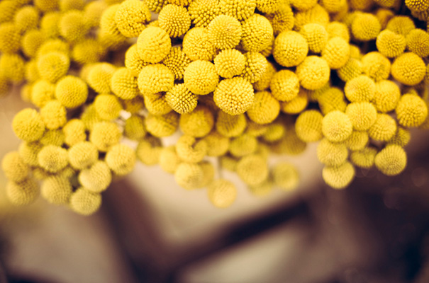 melbourne-florist-wedding-inspiration