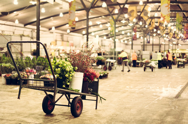 melbourne-florist-wedding-inspiration5