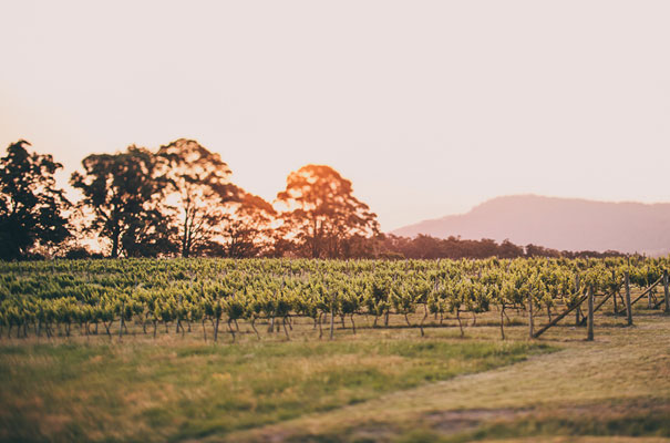 silos-estate-berry-south-coast-wedding23