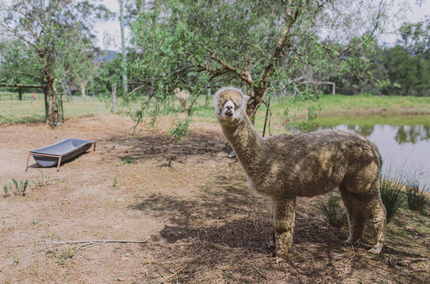 south-coast-wedding-photographer-she-designs-a-team-best11