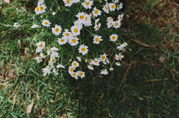 south-coast-wedding-photographer-she-designs-a-team-best32