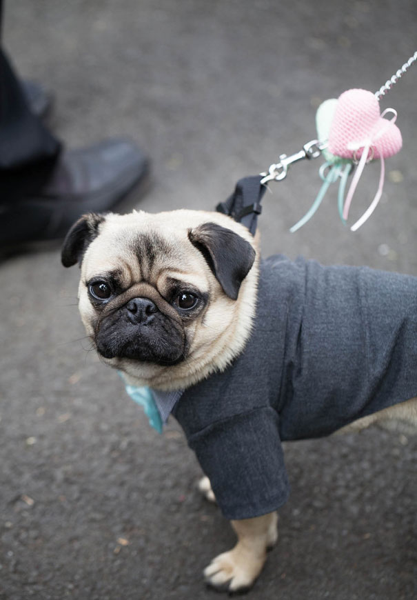 studio-something-sydney-wedding-ice-cream-truck4