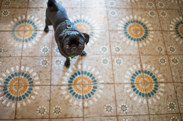 Alana-Blowfield-wedding-photographer-retro-interior