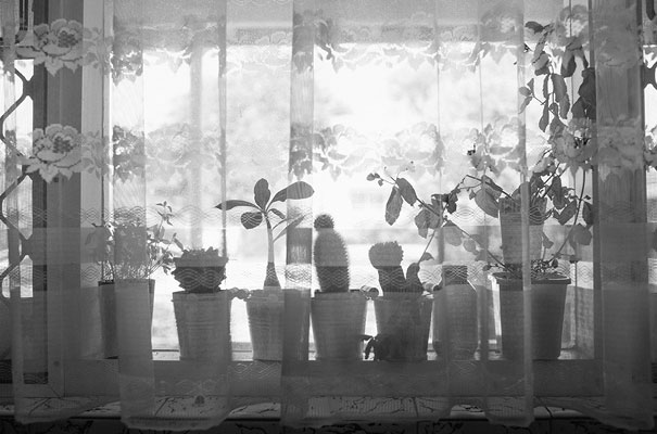 Alana-Blowfield-wedding-photographer-retro-interior2