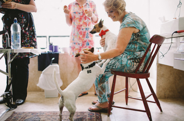 Ziolkowski-gold-sequin-wedding-dress-lara-hotz-sydney-photographer11