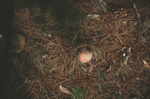 country-manner-Gwendolyn-bridal-gown-wedding13