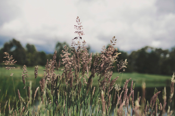 country-manner-Gwendolyn-bridal-gown-wedding2