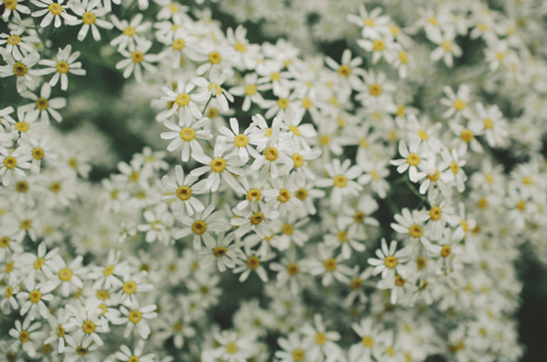 country-manner-Gwendolyn-bridal-gown-wedding31