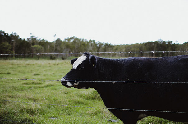 eureka-wedding-justin-aaron-adam-dixon-wedding-country-inspiration15