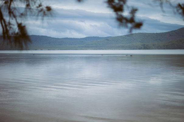 port-macquarie-wedding-vintage-bride-floral-crown12