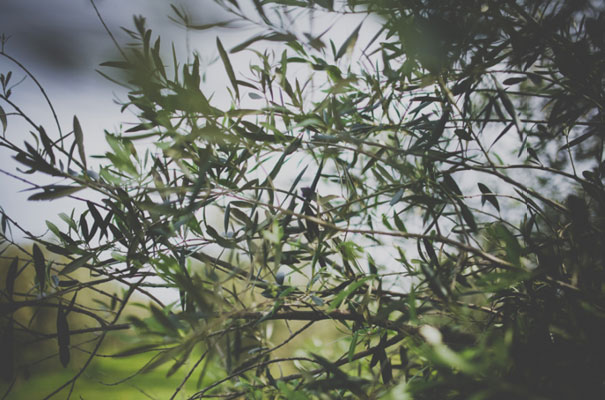 rachel-gilbert-the-hill-winery-weding-geelong-brown-paper-parcel