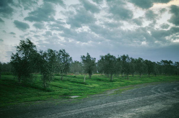 rachel-gilbert-the-hill-winery-weding-geelong-brown-paper-parcel31