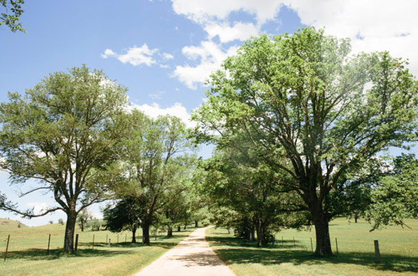Fleur-Wood-Summerlees-country-wedding