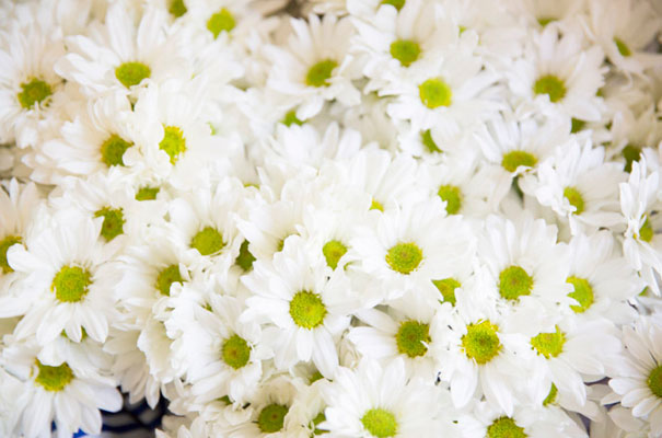 Fleur-Wood-Summerlees-country-wedding3