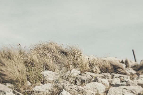 Screen Shot 2014-04-24 at 1.50.20 am