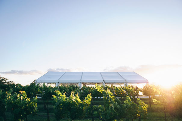 TheFollans_Bec&Scott-133