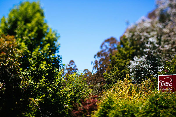 georgie&justine_hellomay_700px_001