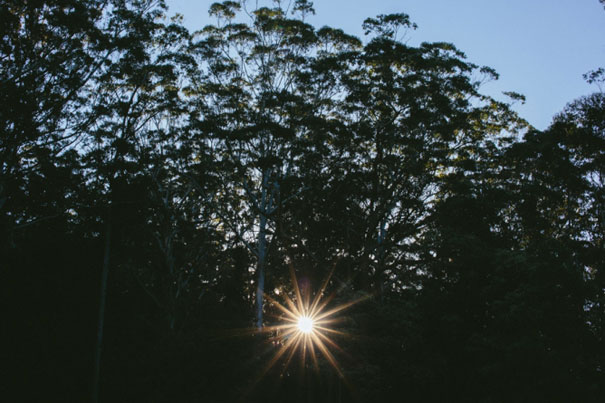 lilyvale-wedding-148(pp_w668_h445)