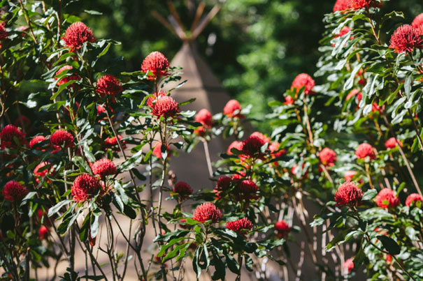 lilyvale-wedding-80(pp_w668_h445)