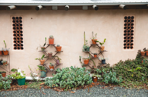 mexican-fiesta-wedding-collette-dinnigan-red-bridal-gown9