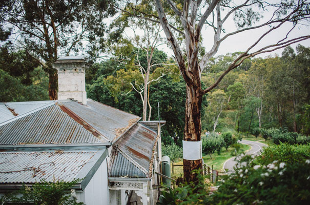 the-white-tress-collingwood-childrens-farm11